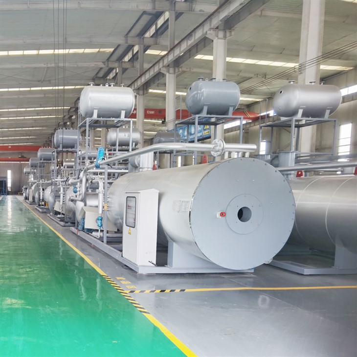 Gas Thermal Oil Boiler